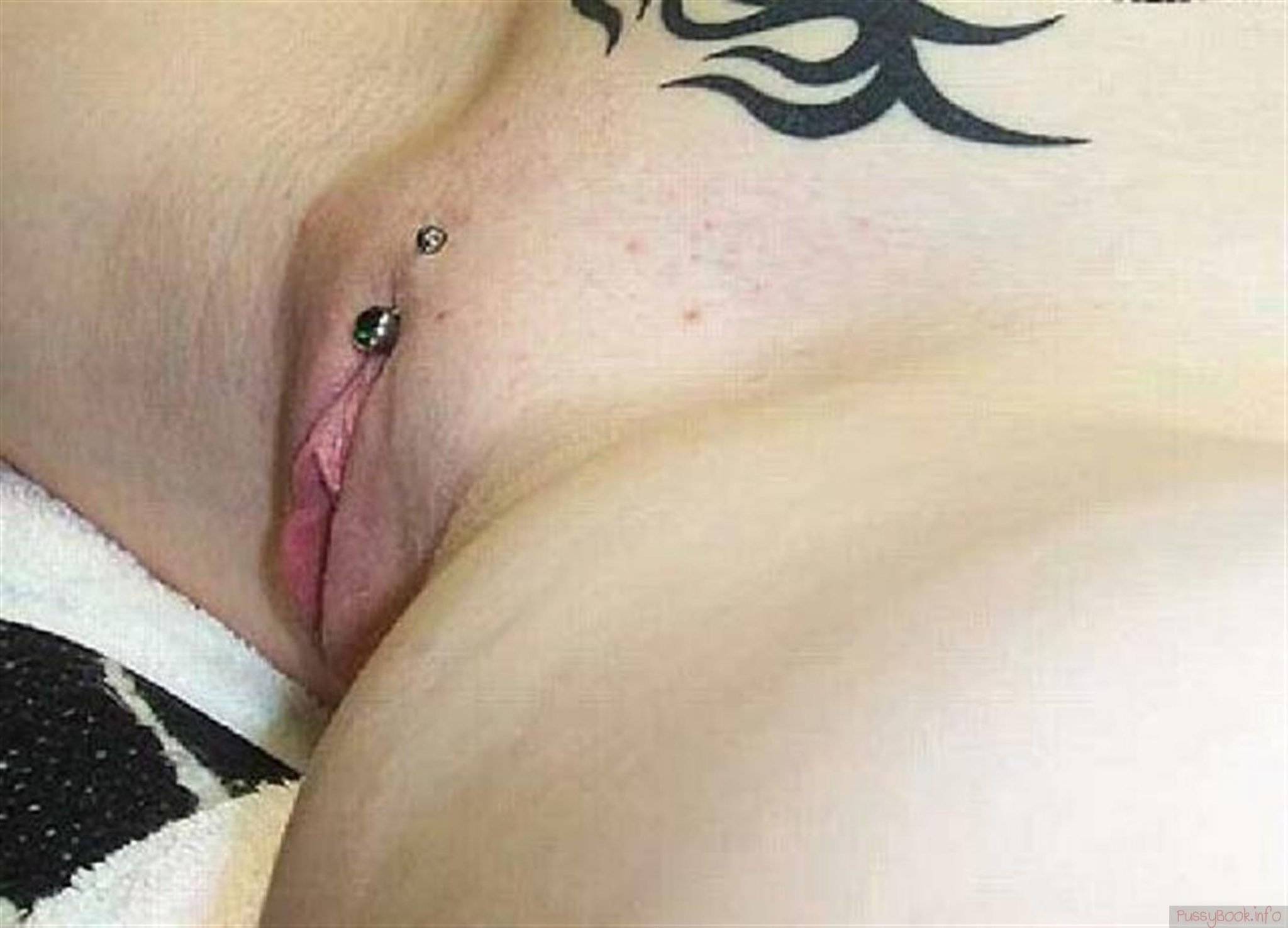 Pussy Tattoos Piercing Porn