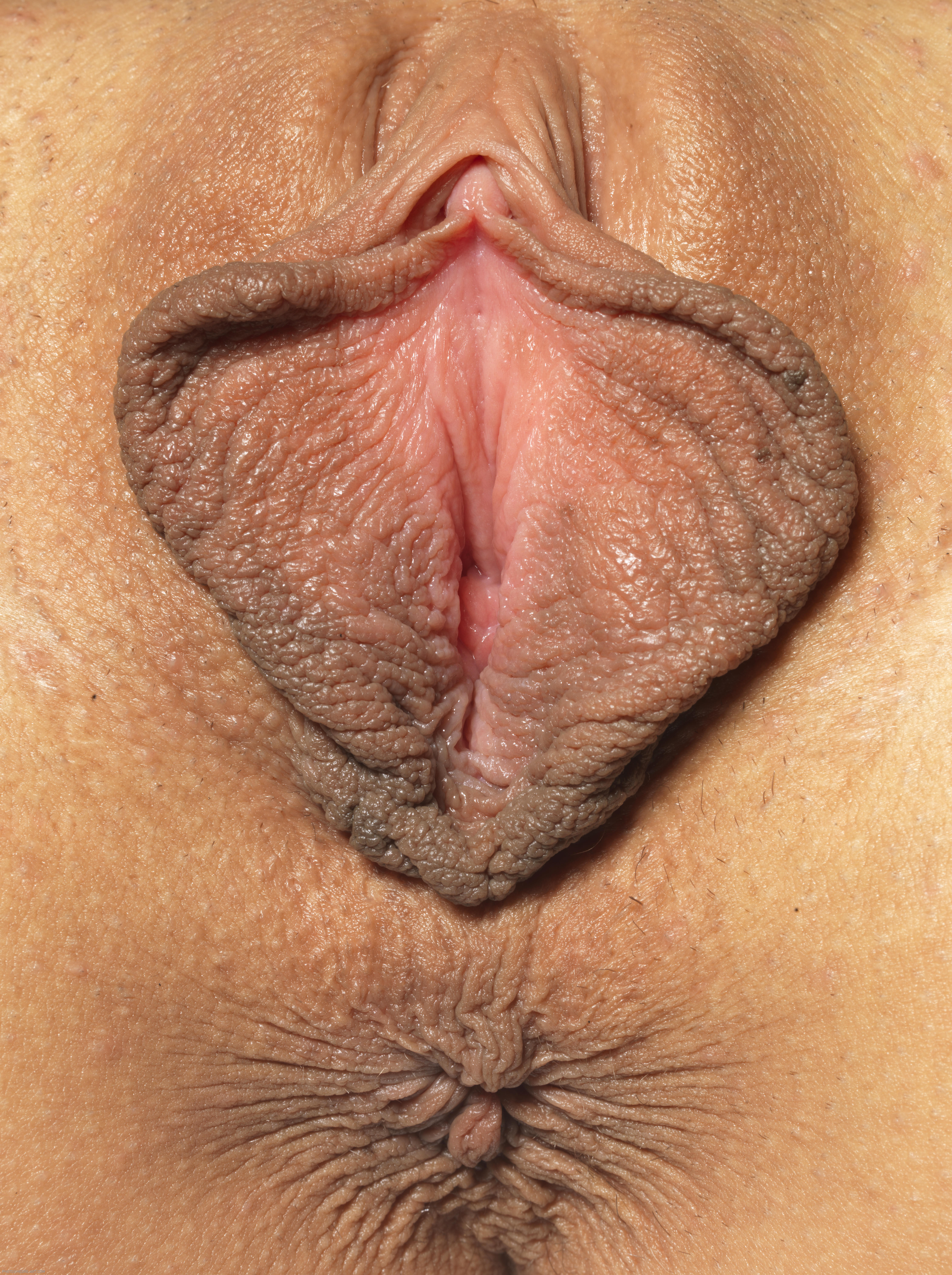 Огромнейшие половые губы крупно