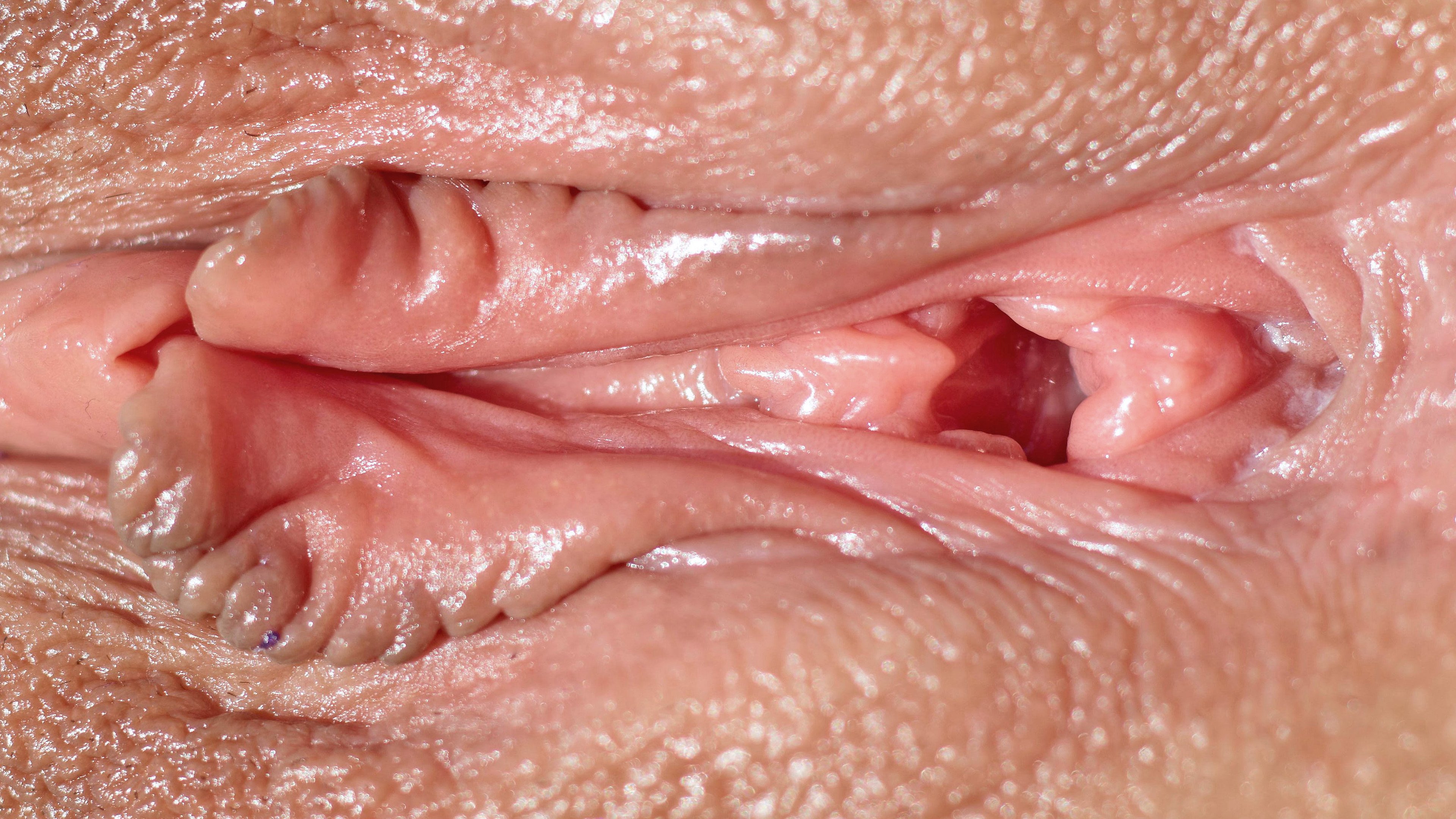 Симпатичные сучки показывают свои половые губы и клиторы