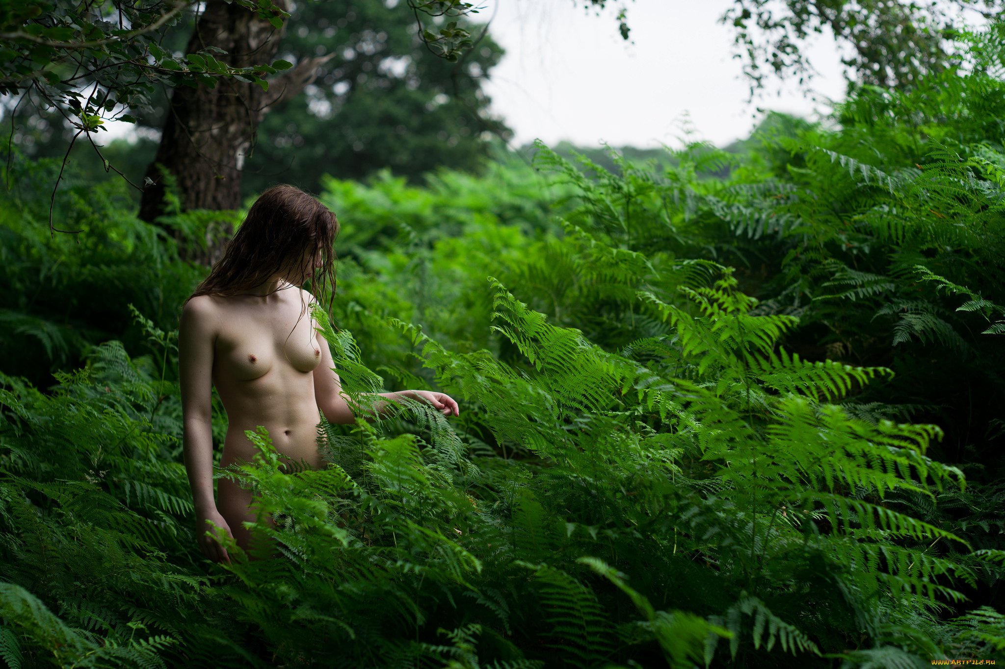 Обнаженная девочка с бритой писей в кустах 16 фото эротики