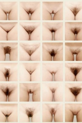 Разновидности вагин (75 фото)