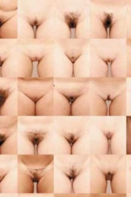 Виды женских писек (73 фото)
