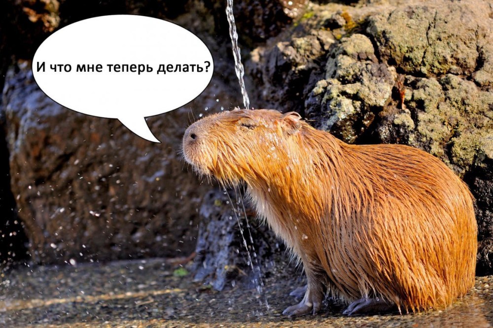 Bobriha алёна