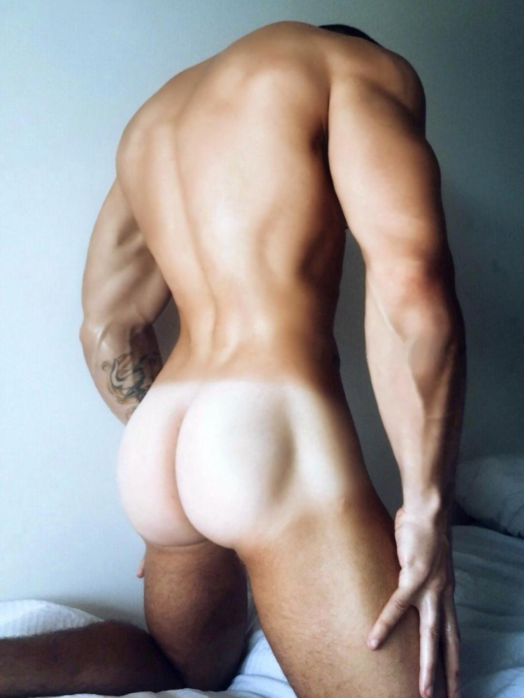 Ландольт Синди бодибилдинг nude