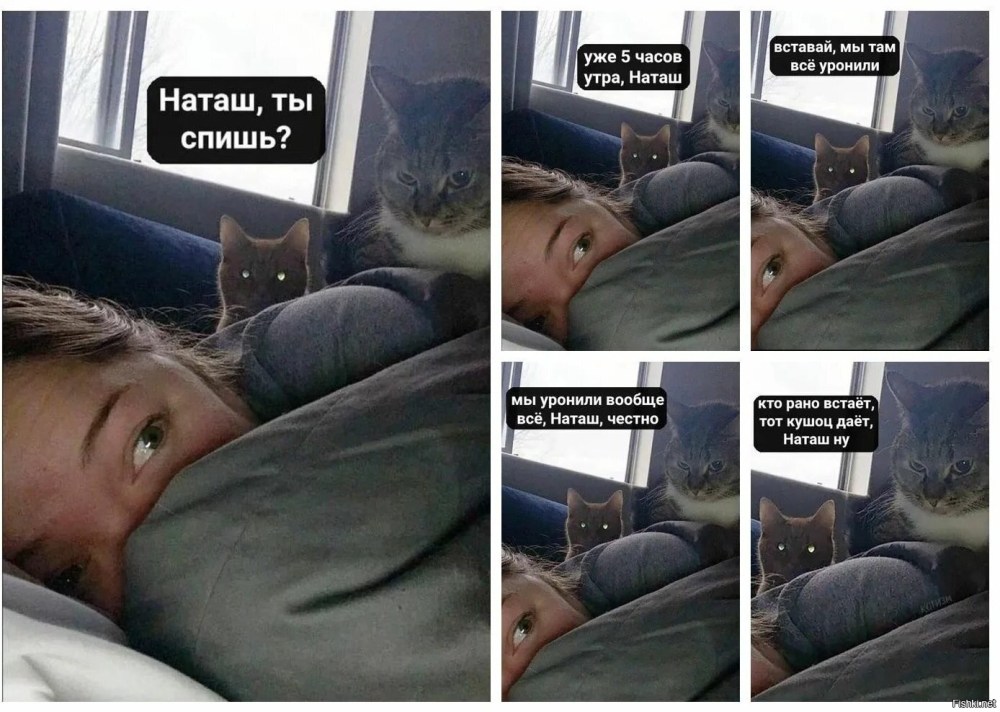 Лазаренко Луиза Романовна