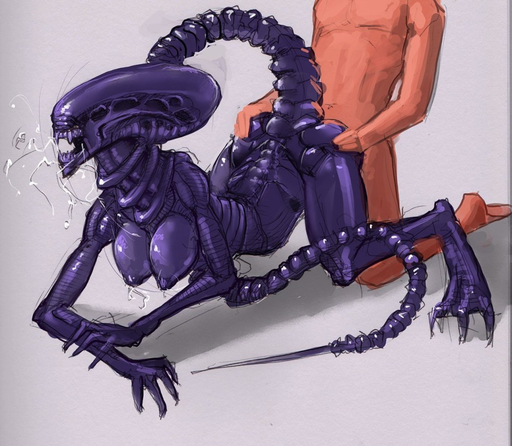 Meandraco ксенофилия