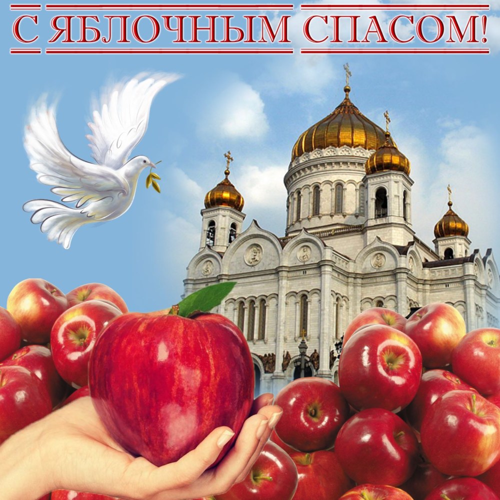 Данте с розой