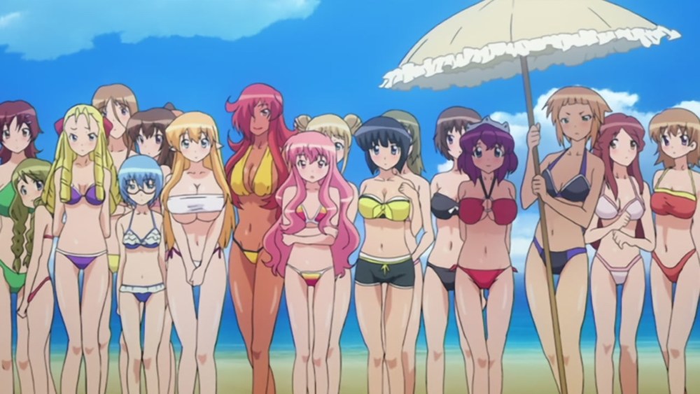 Zero no Tsukaima купальники