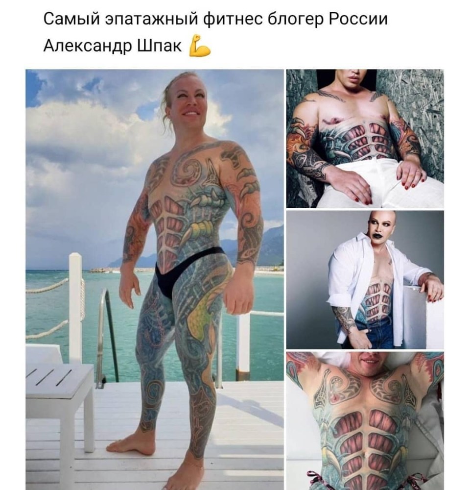 Александр Шпак до