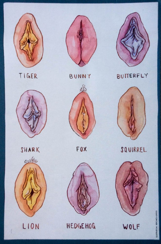 Мужчины говорят, что существует 5 типов вагин