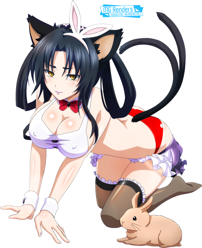 High School DXD Kuroka hentai карточки
