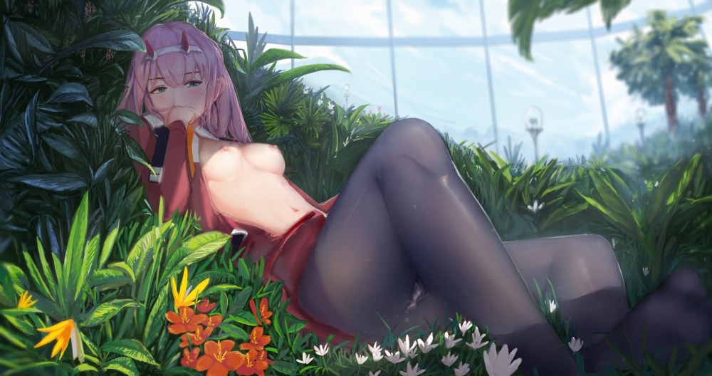 Sakimichan Darling in the FRANXX хентай