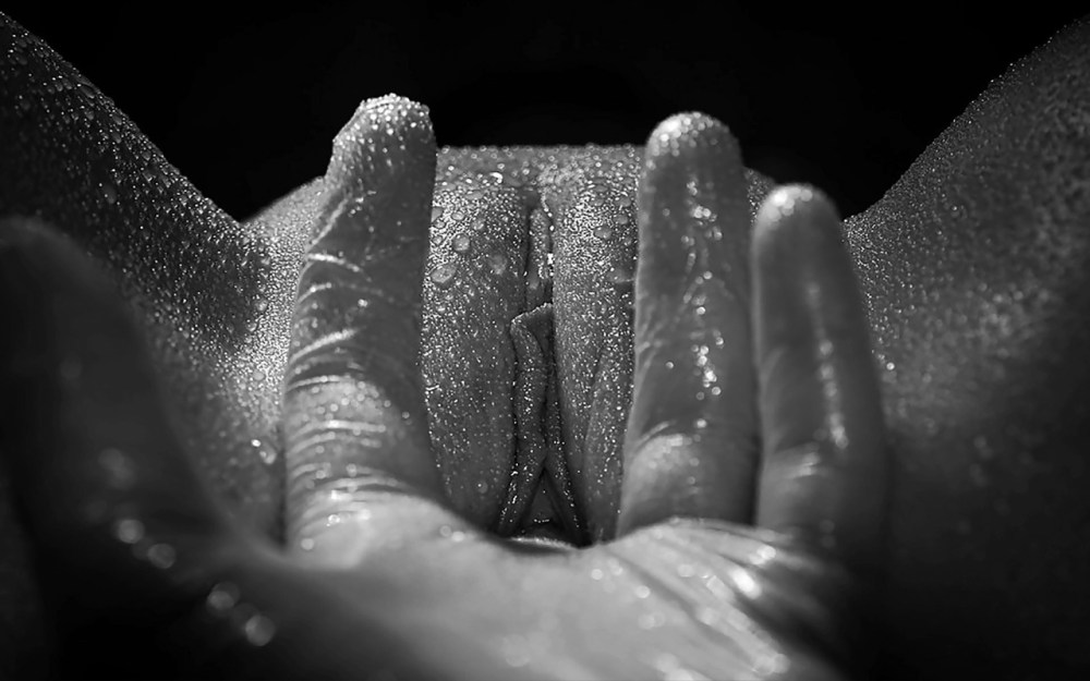 Художественное изображение вагины