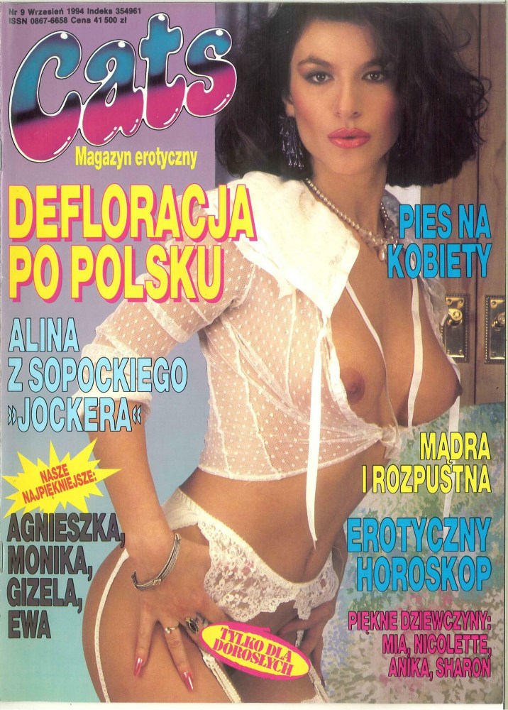 Японские порнографические журналы