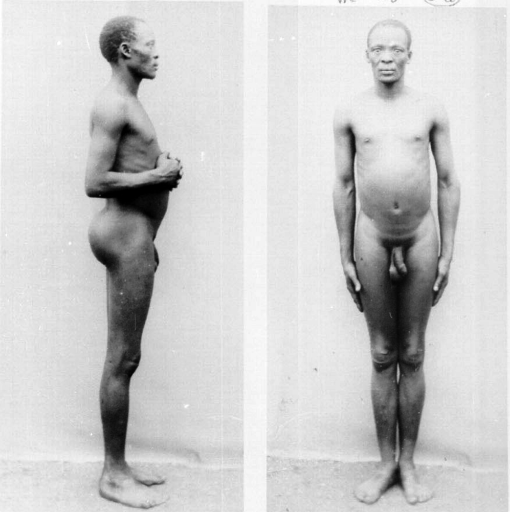 Бушмены и готтентоты