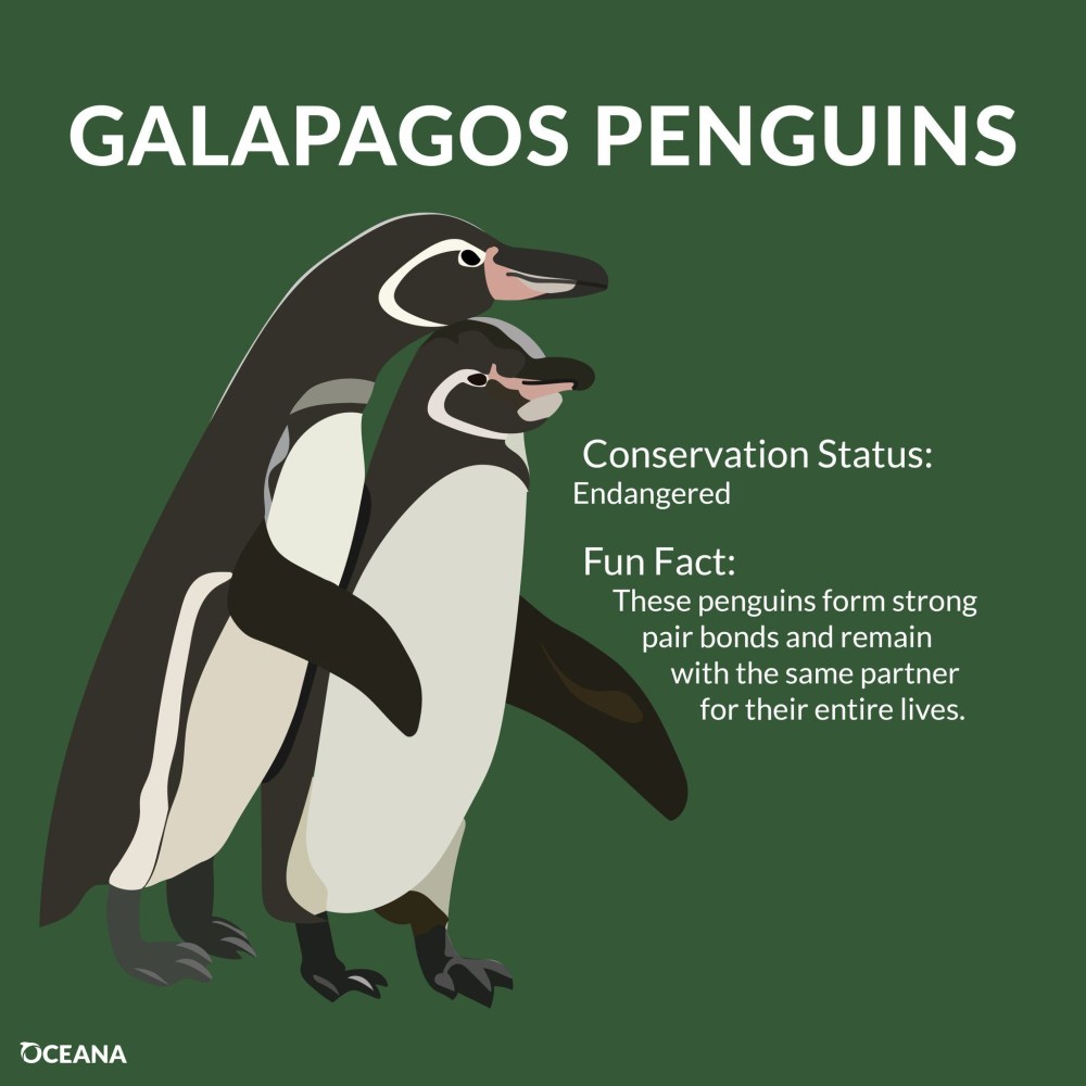 Розовый кролик интимный