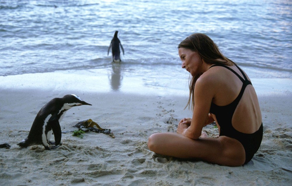 Шкипер Ковальски Пингвин