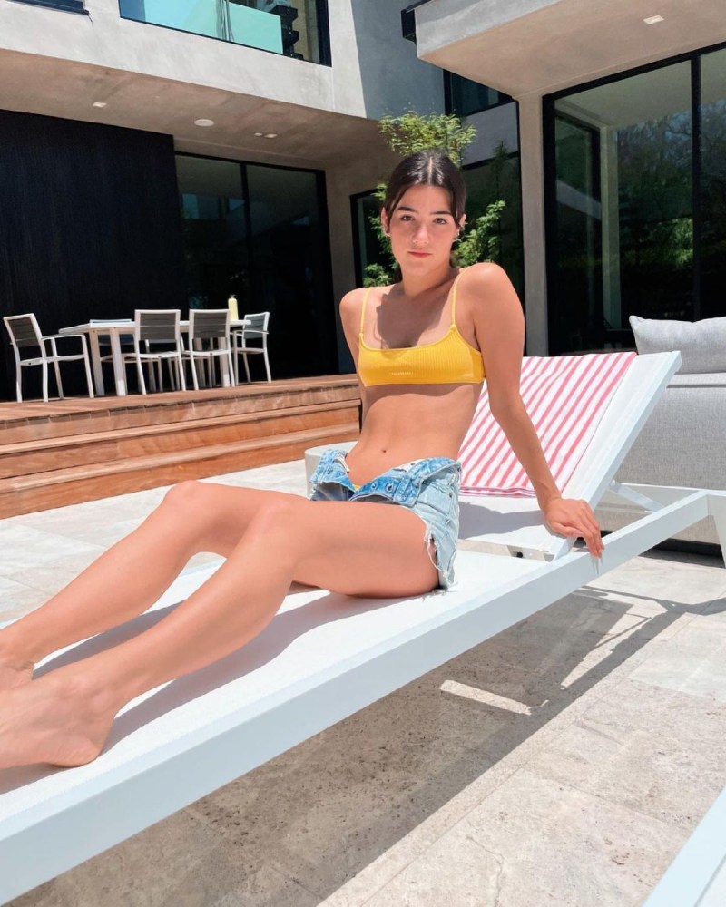 Dixie Damelio leaked