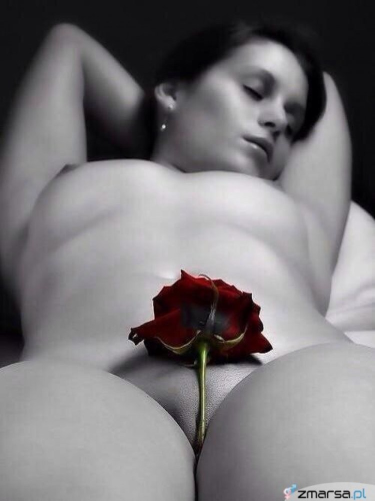 Аниме Розарио вампир хентай