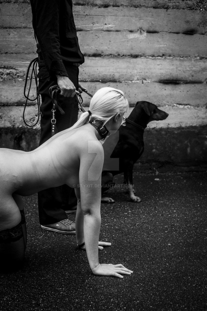 Bdsm рабыня на поводке собака