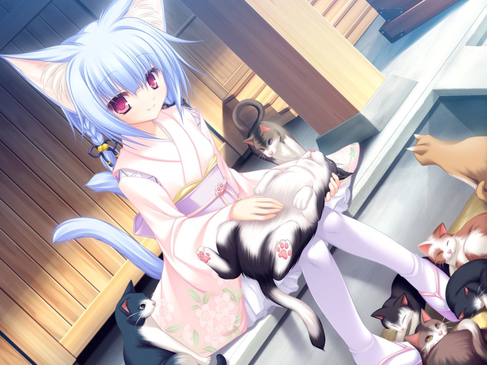 Неко и хозяин