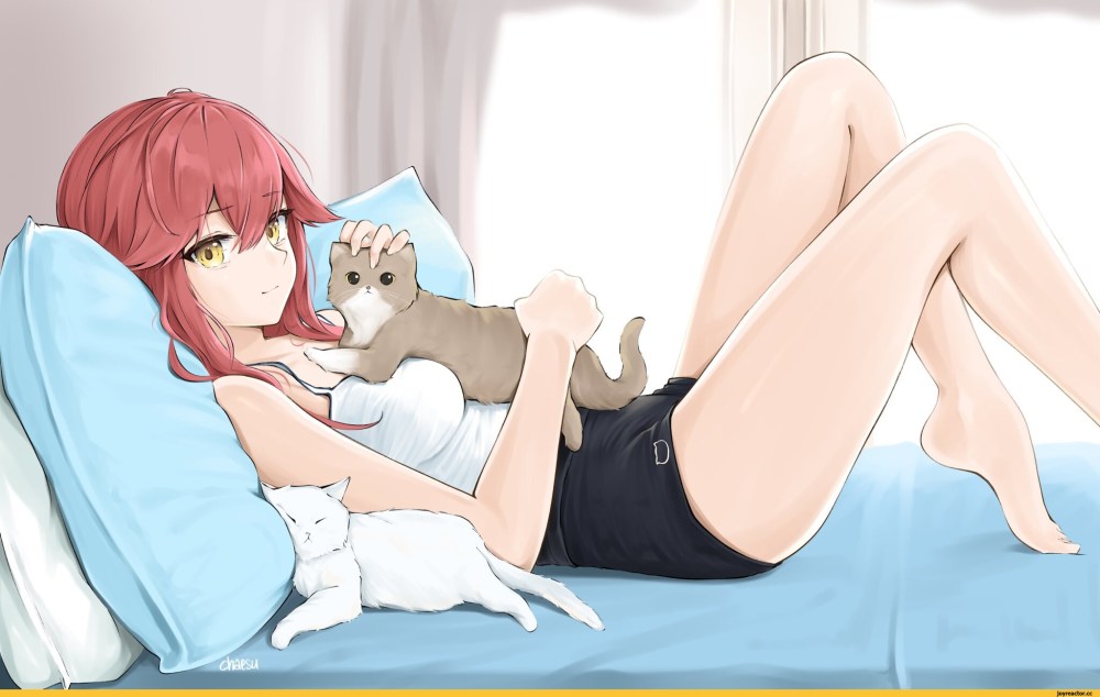 Аниме девушка кошатница