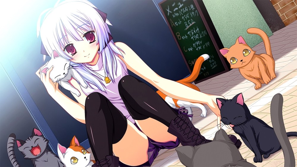 Аниме котики девушки