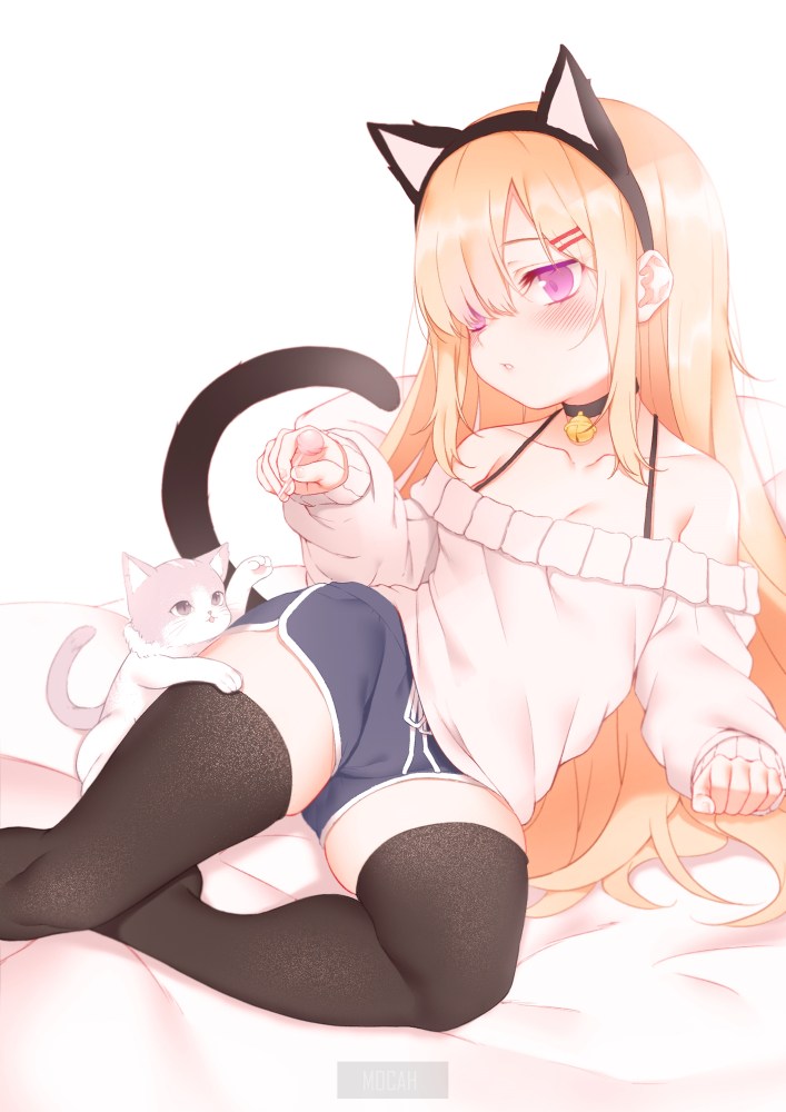 Neko эччи
