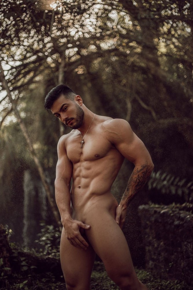 Benjamin Godfre модель