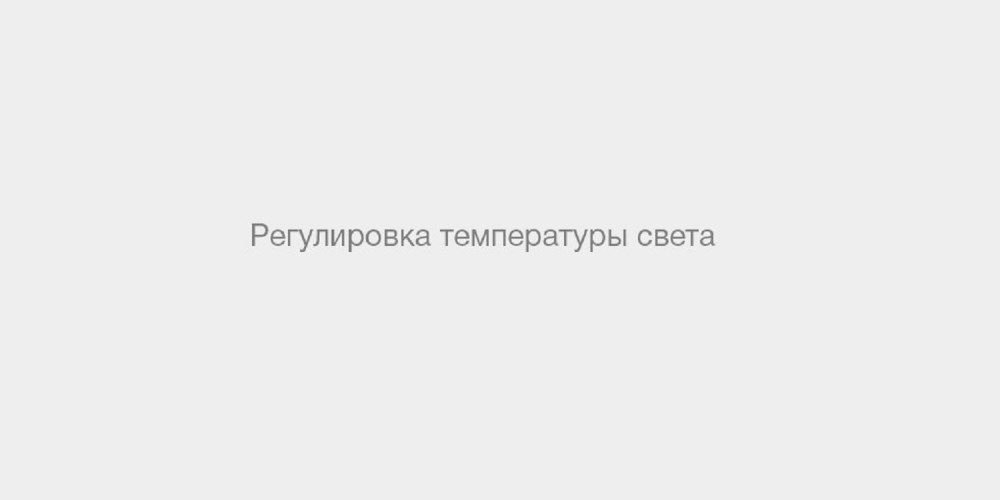 Polina Slepkan