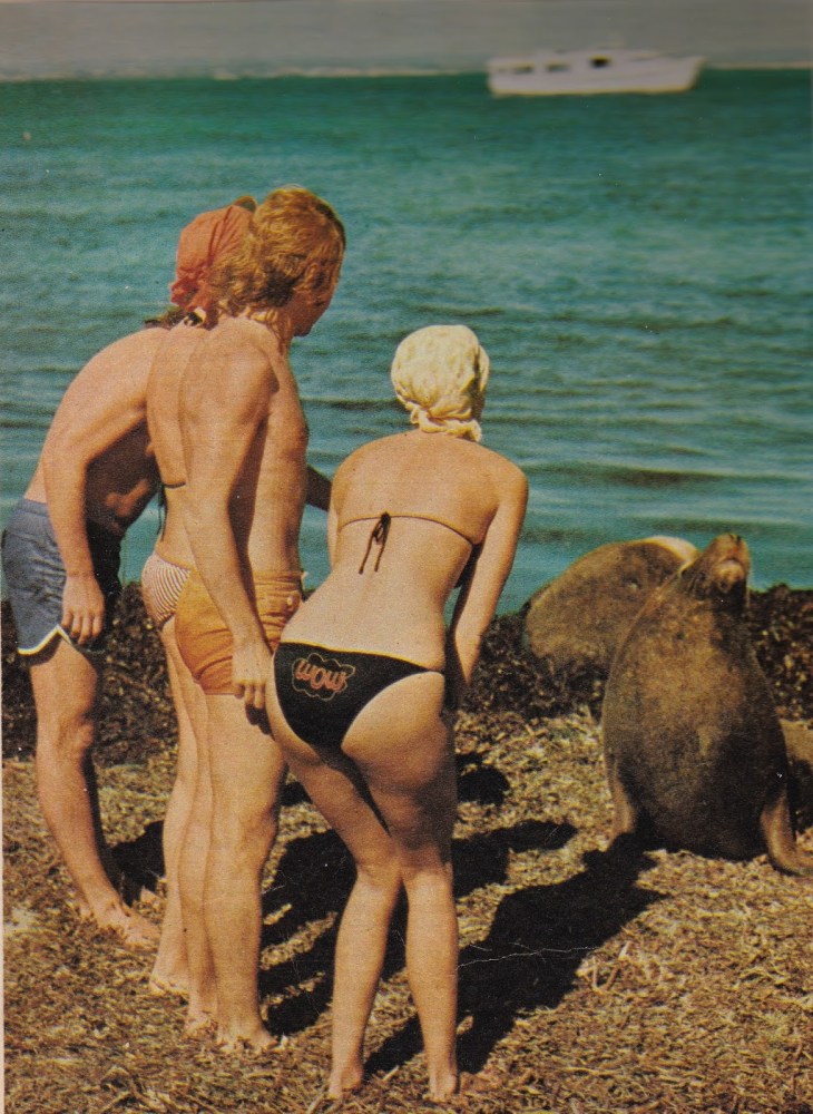 Агнета Фельтског на сцене