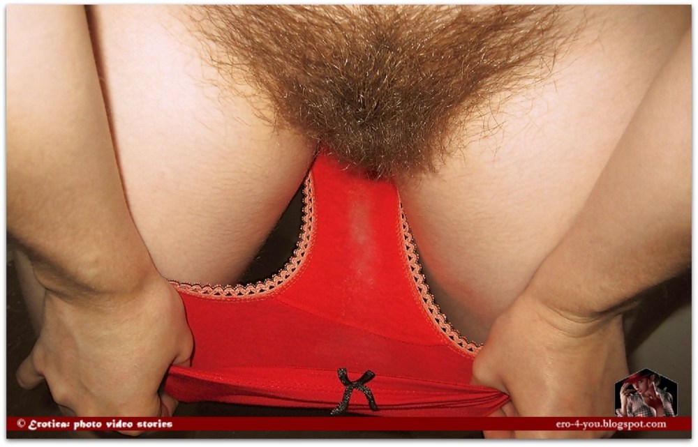 Волосатые киски в трусиках