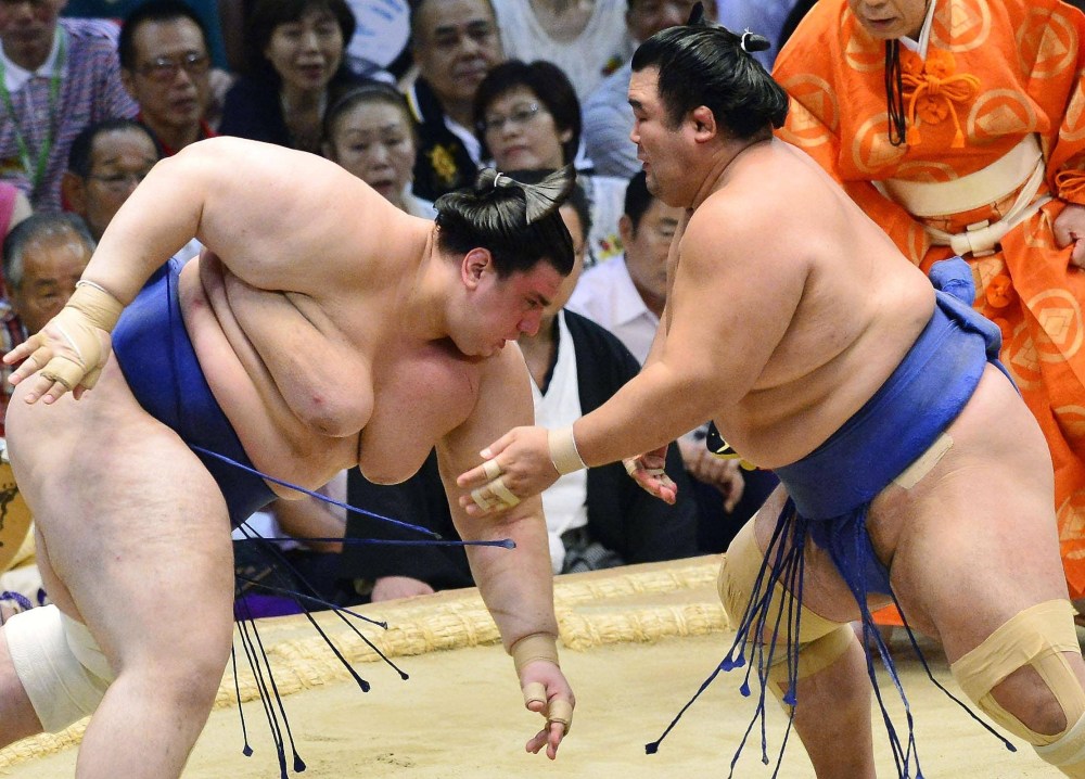 Голые толстые сумоисты