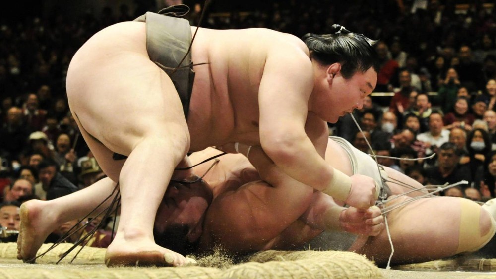 Сумоисты маленькие члены