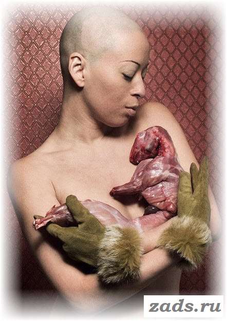 Редкие кадры с бритоголовыми развратницами