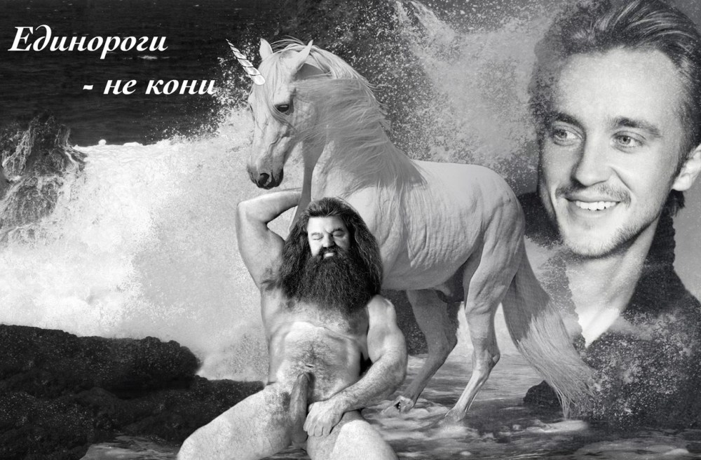 Единорог Гарри Поттер