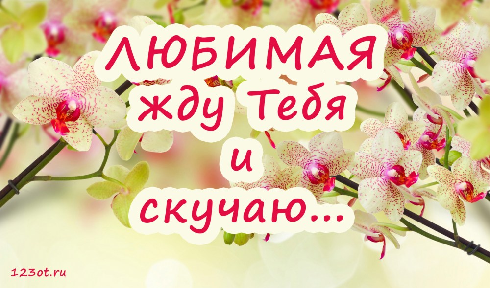 Открытки обнимаю тебя
