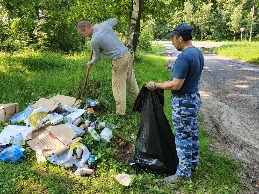 Бабка с внуками в огороде