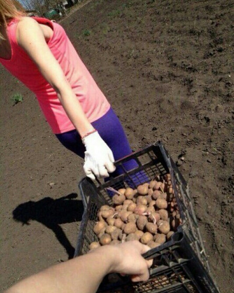 Девушка в огороде в купальнике