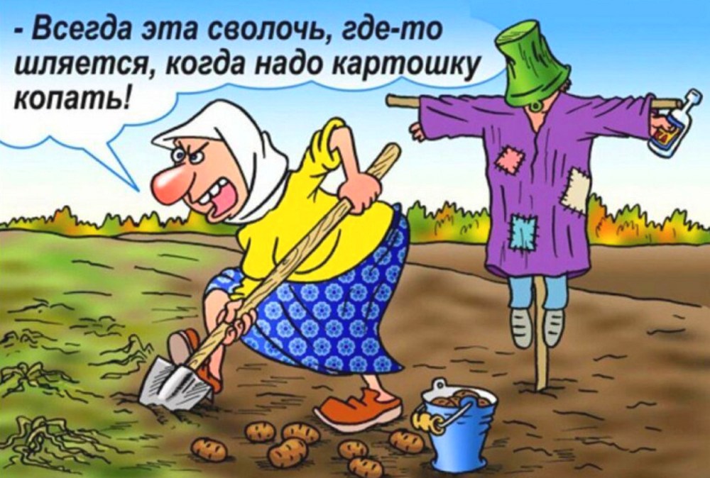 Девушка с картошкой