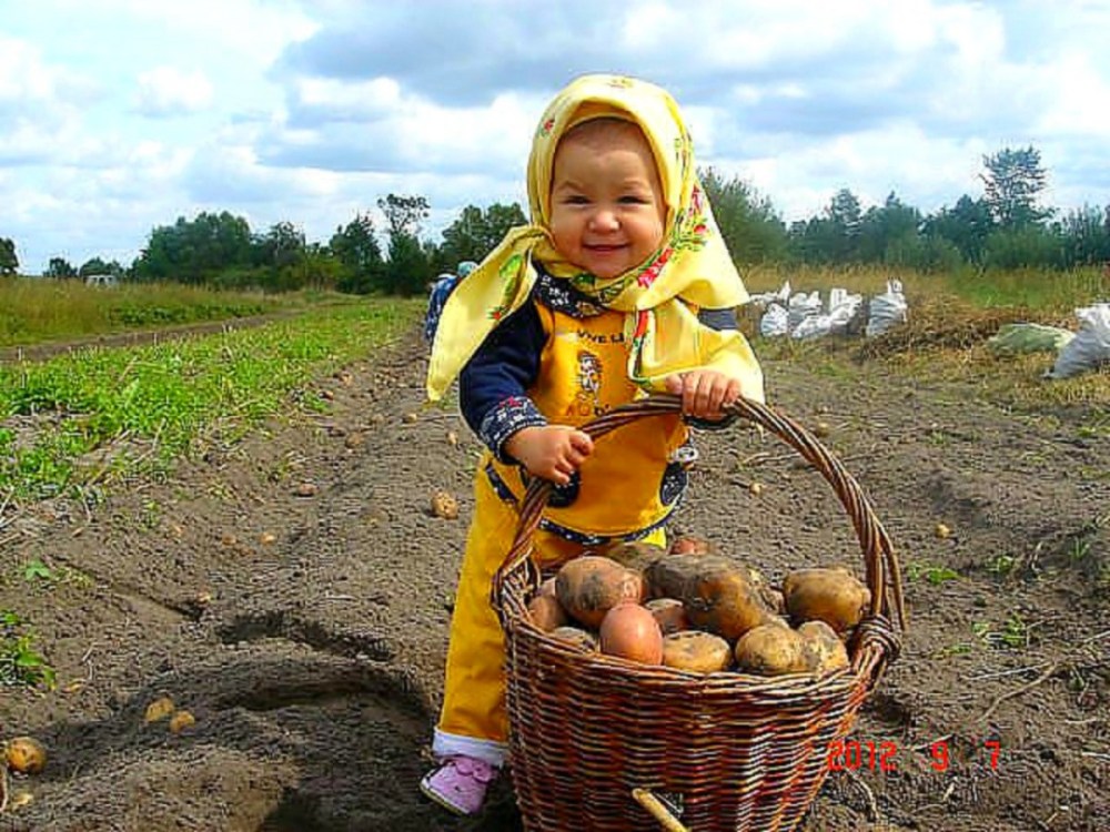 Женщина копает землю