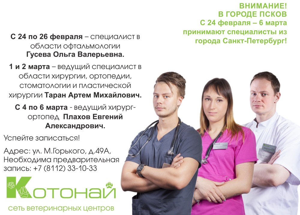 Знайка Псков
