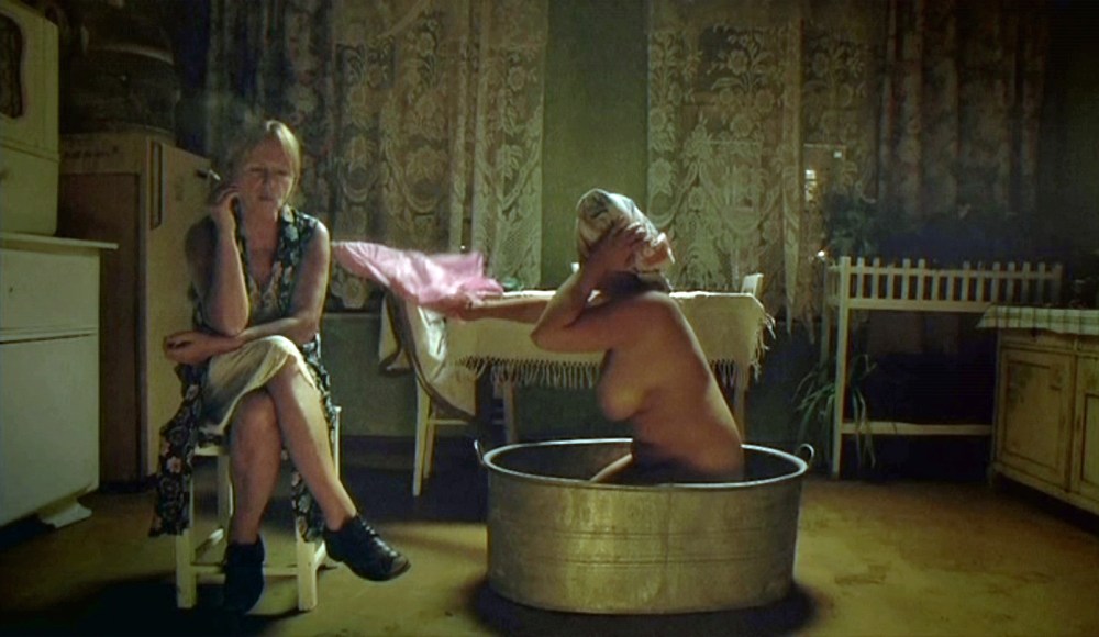 Эльжбета Старостецка nude