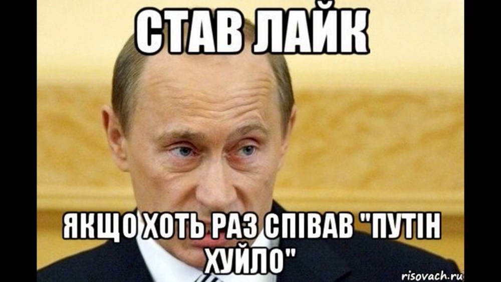 Кошки занимаются любовью