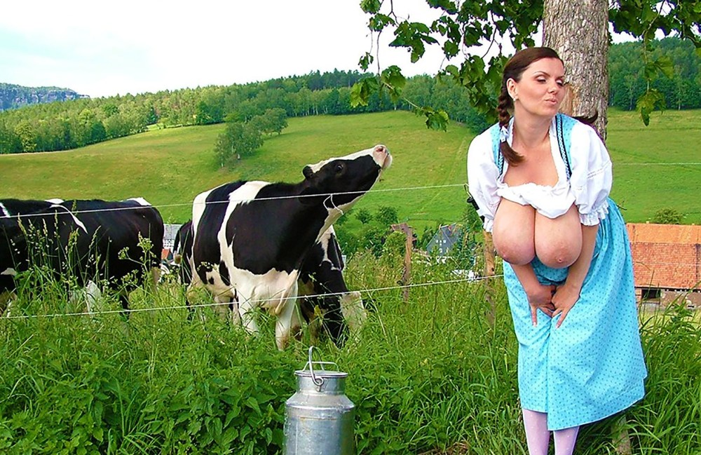 Голые доярки в коровнике