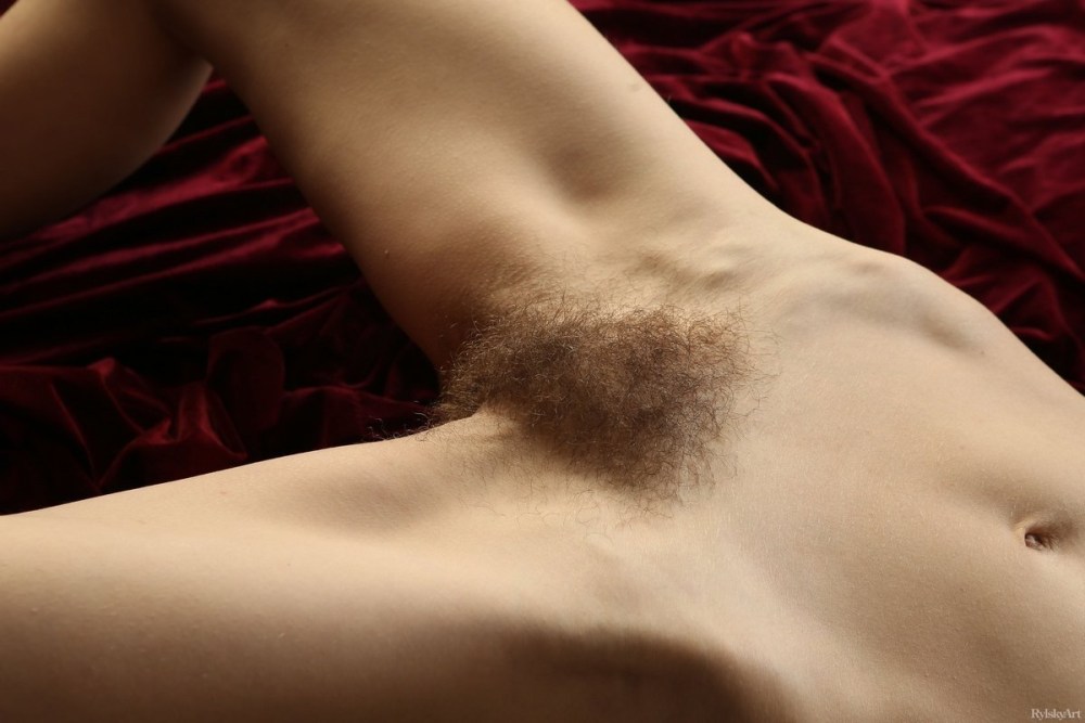 Венерин бугорок Mons Veneris