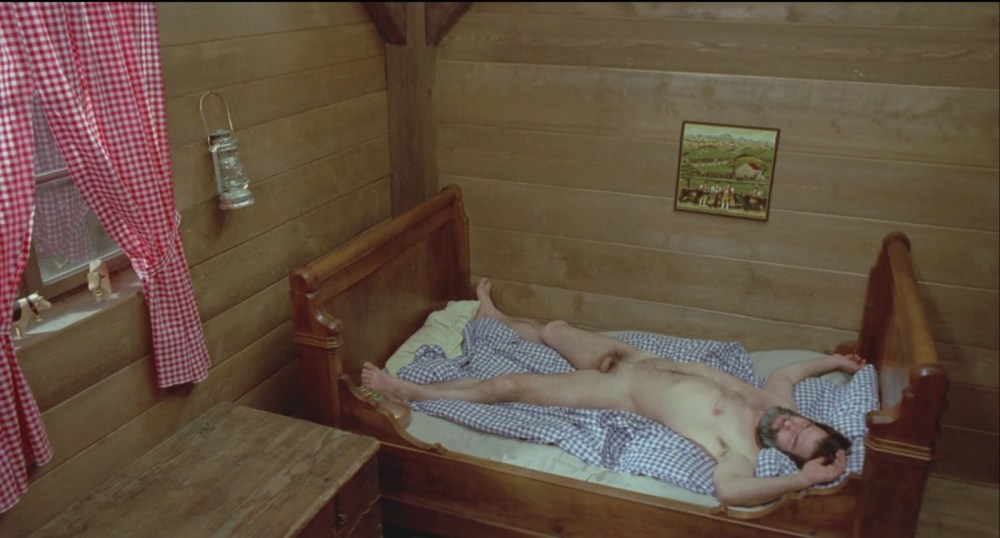 Шесть шведок в Альпах (1983)