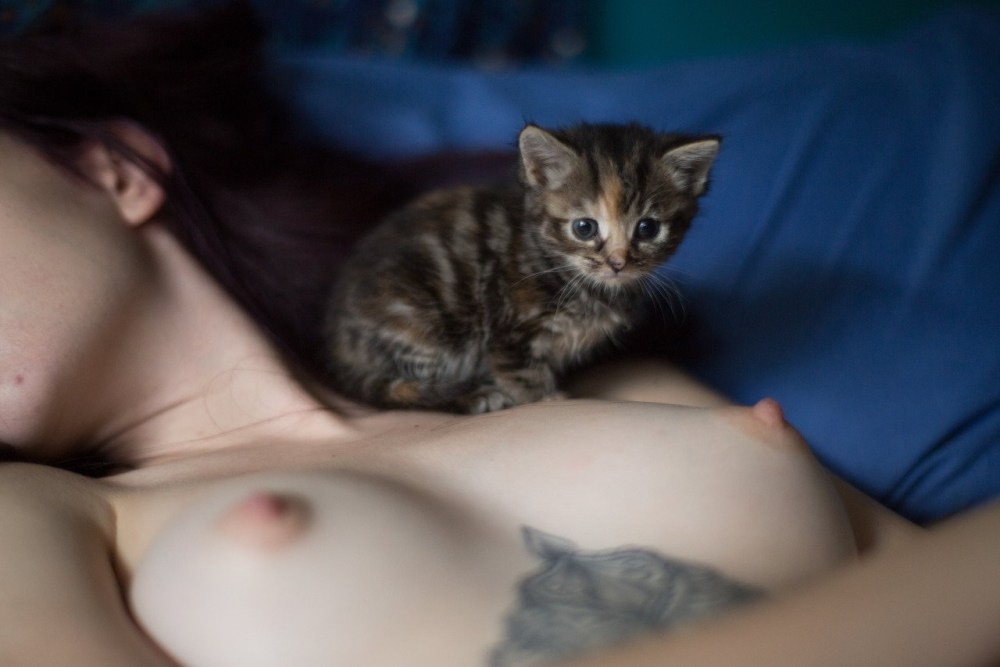 Красивые кисы девушек