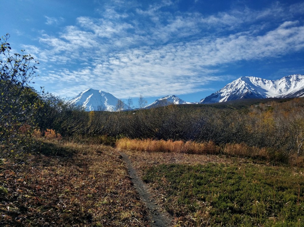 Сопки осенью на Камчатке