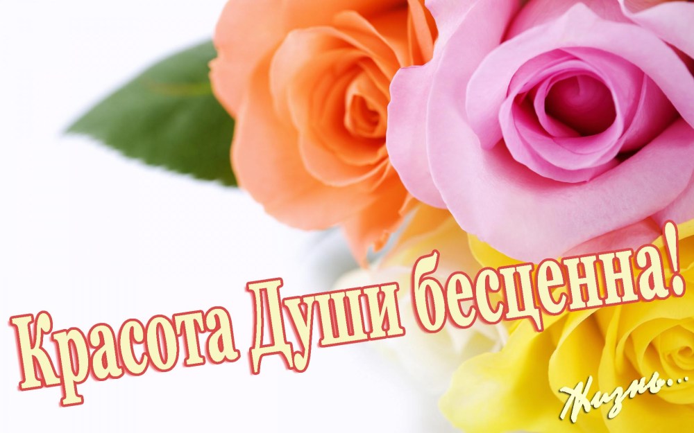 Алена Крылова активистка